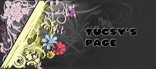 Tcsy's page